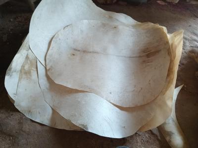 Peaux de chèvre