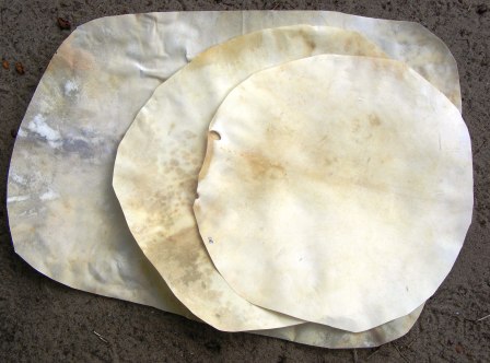 Peaux de chèvre (lot de 5)