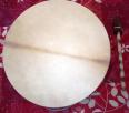 Bouleau 45 nov 22 face chevre