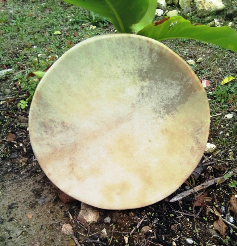 Chaman 31 cm