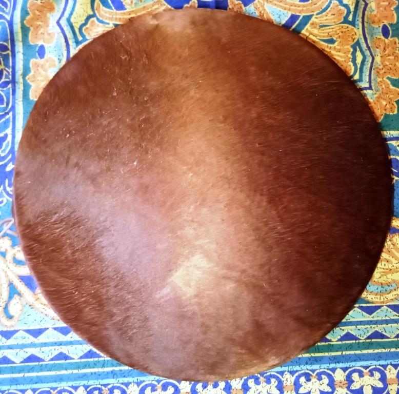 Chaman cheval 41 dec 22 3