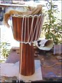 Djembe1