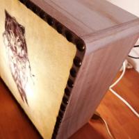 Loup 22 6 lampe 1 