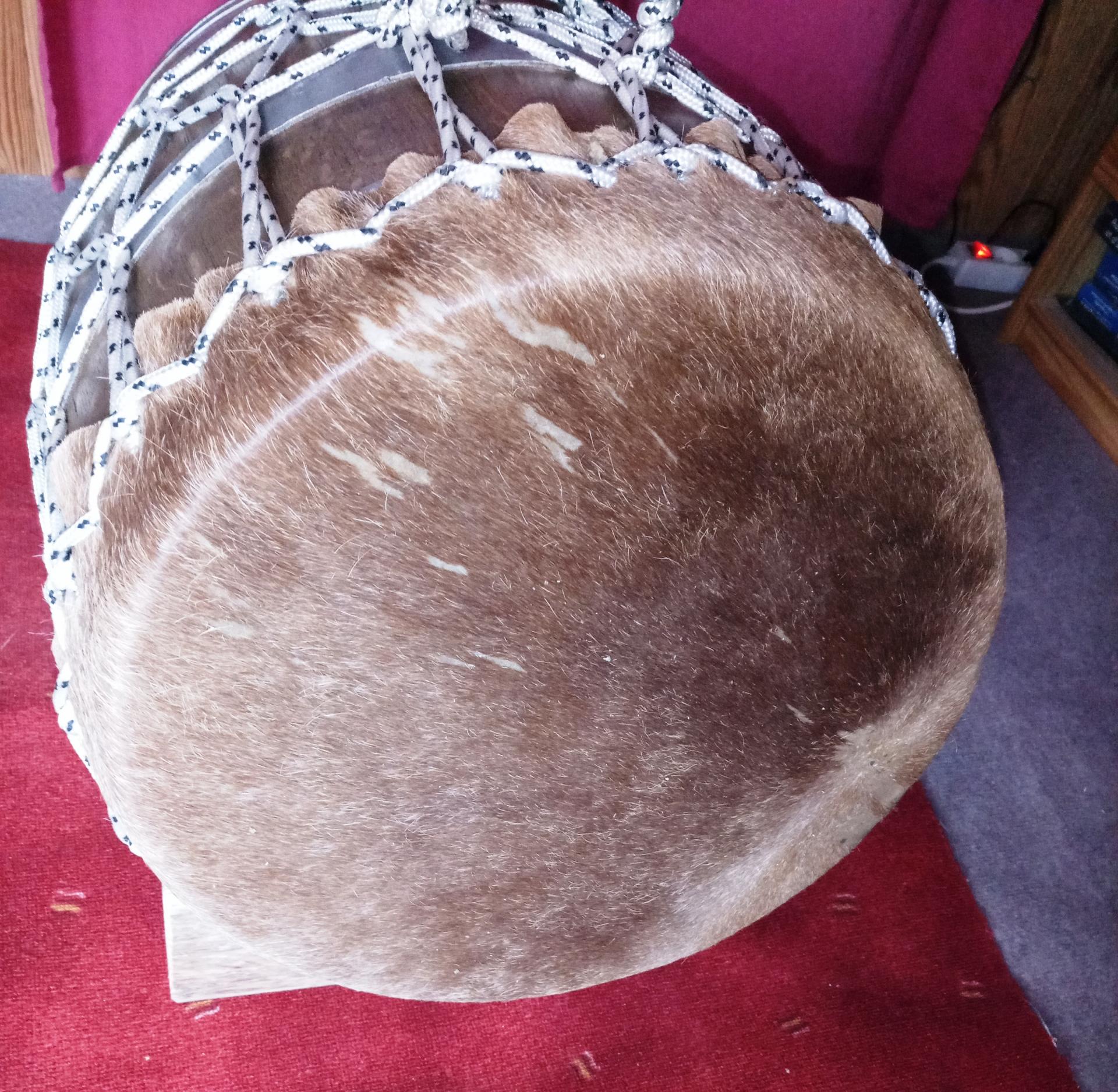 Moy 40 cm jan 19 rouler 1