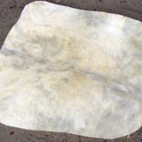Peau cabris  + de 60 cm de diamètre