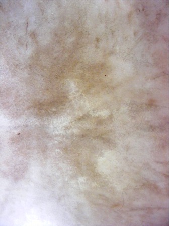 Peau calligraphie